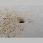 10Boca De Yuma_0260.JPG